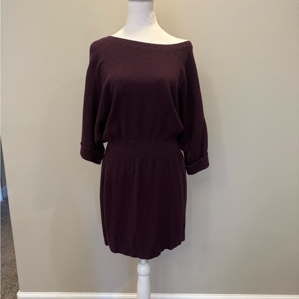 Express Garnet/Maroon Knit Sweater Dress